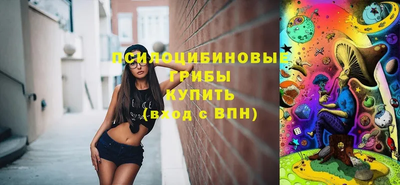 Псилоцибиновые грибы Cubensis  Венёв 